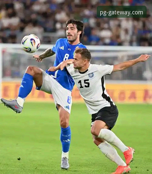 资深用户分享：从意大利出局看体育赛事的沉浸式体验